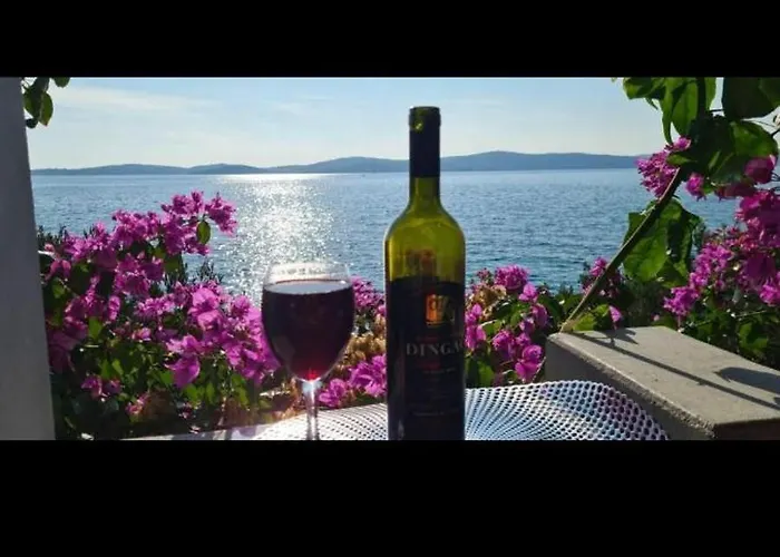 Valerija I Joso ビビニェ