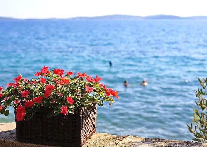 アパート Valerija I Joso ビビニェ